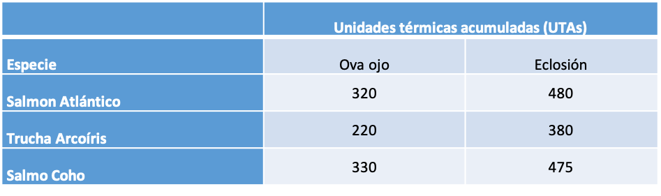 Unidades térmicas acumuladas para los distintas especies de salmónidos